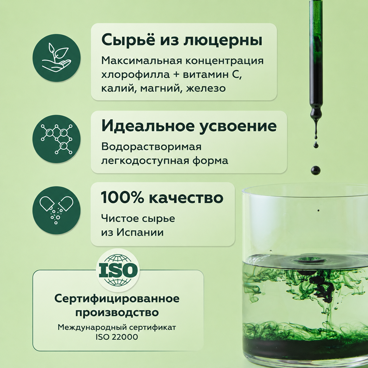 Хлорофилл концентрированный 50 мл